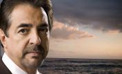 Joe Mantegna