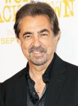 Joe Mantegna