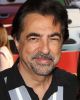 Joe Mantegna