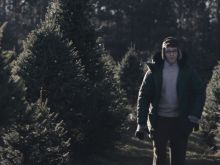 Joe Pera #3719287 picture (Landscape Medium)