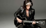 Joe Perry