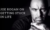 Joe Rogan