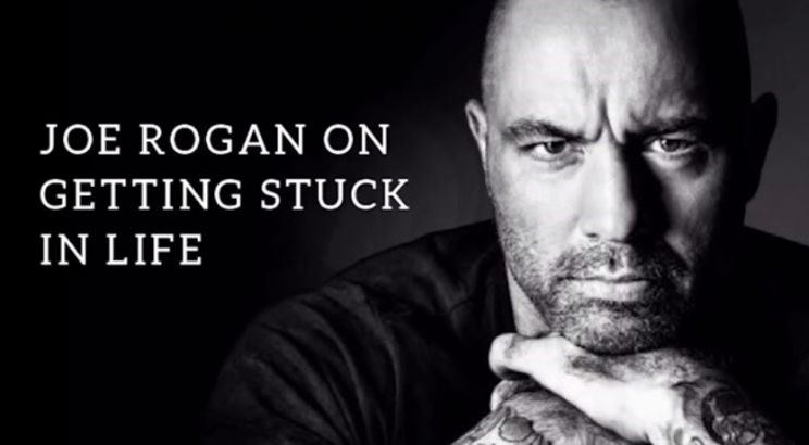 Joe Rogan