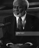 Joe Seneca