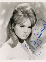 Joey Heatherton photo