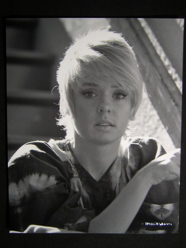 Joey Heatherton