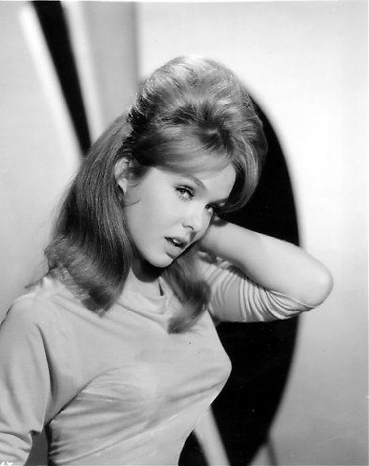 Pictures of Joey Heatherton