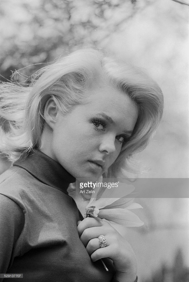 Joey Heatherton