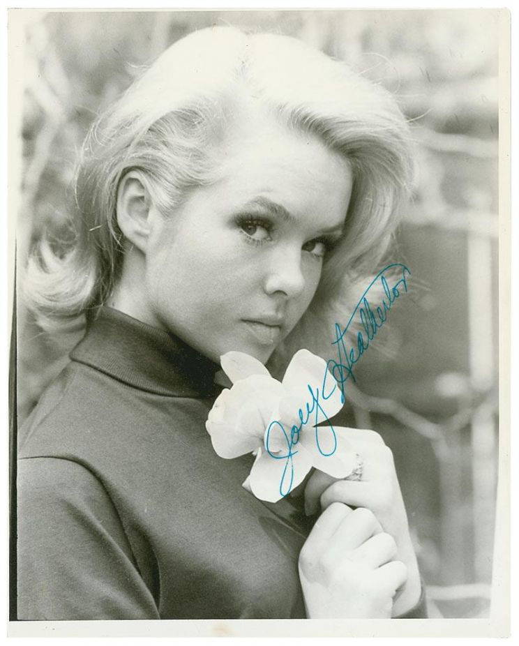 Joey Heatherton