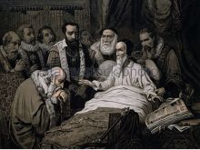 John Calvin #2465282 picture (Landscape Medium)