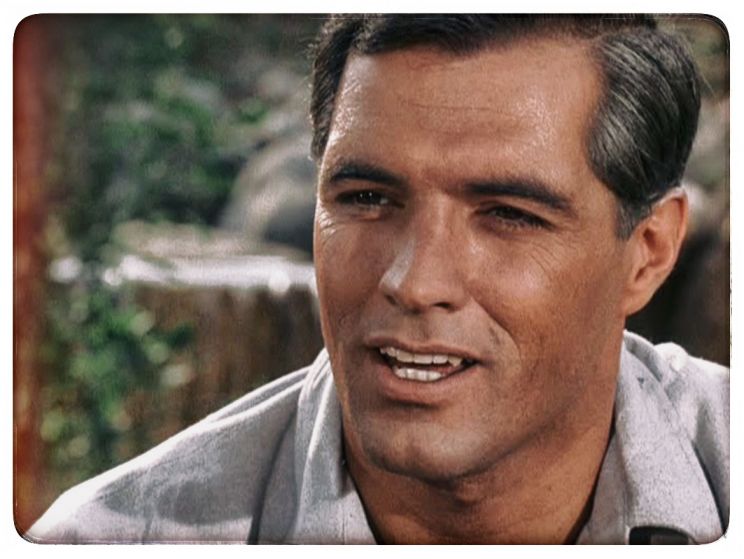 John Gavin