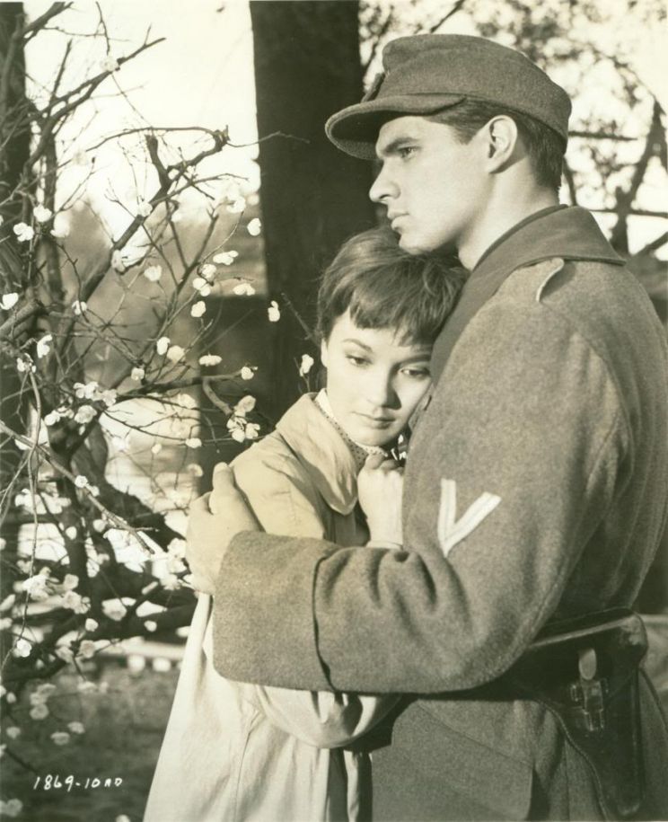 John Gavin