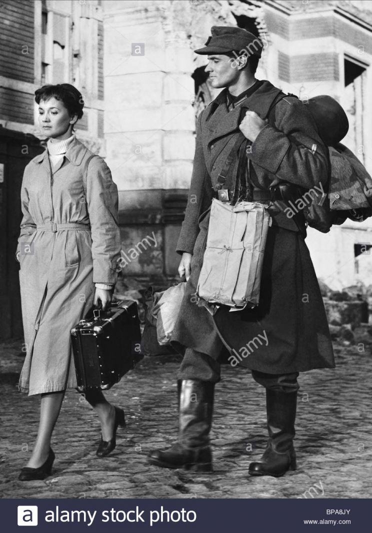 John Gavin