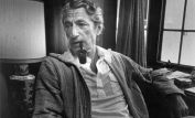 John Guillermin