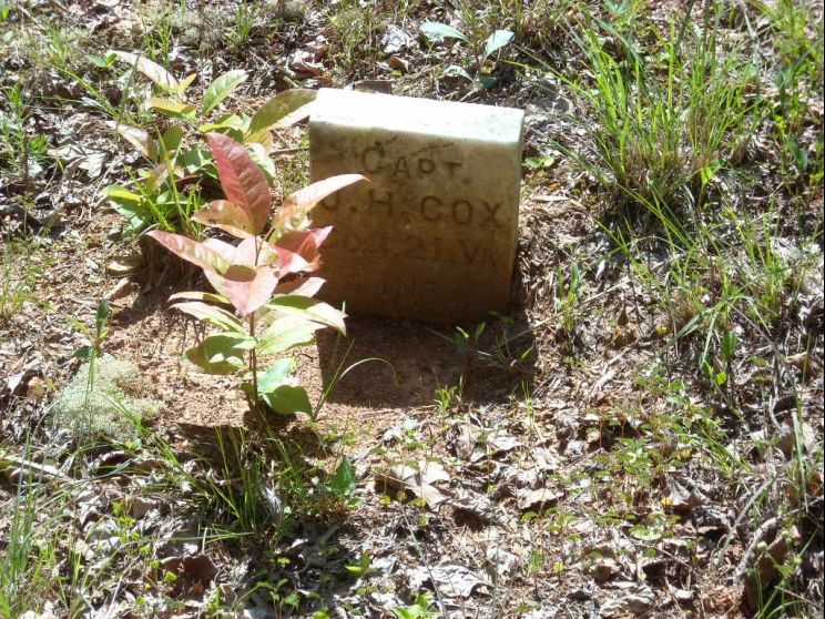 John Henry Cox