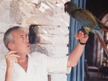 John Huston #422318 picture (Landscape Medium)