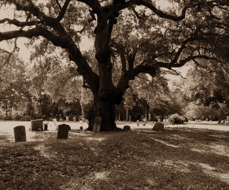 John N. Smith