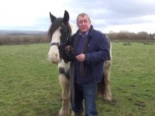 John Nettles #439285 picture (Landscape Medium)