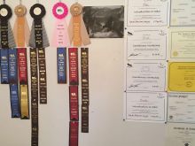 John Redlinger #3476886 picture (Landscape Medium)