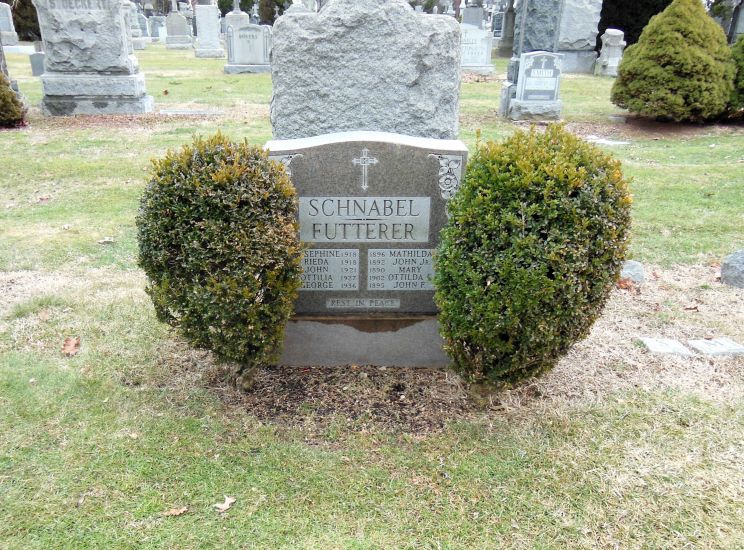 John Schnabel