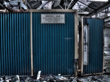 John Tams photo