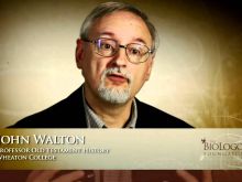John Walton