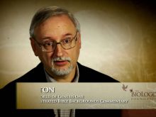 John Walton