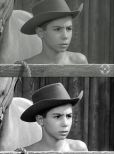 Johnny Crawford