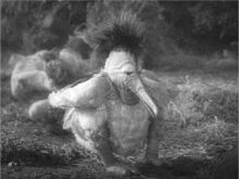Johnny Eck