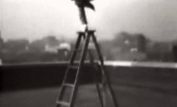 Johnny Eck