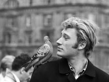 Johnny Hallyday