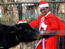 Johnny Lever