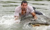 Johnny Messner