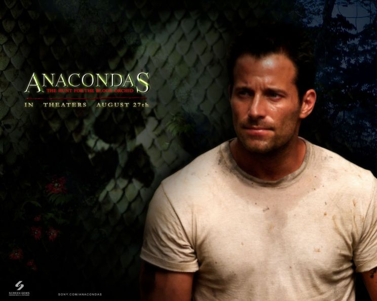 Johnny Messner