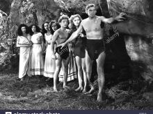 Johnny Sheffield