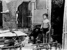 Johnny Sheffield