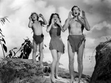 Johnny Sheffield