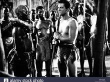 Johnny Sheffield