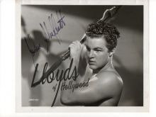 Johnny Sheffield