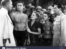 Johnny Sheffield