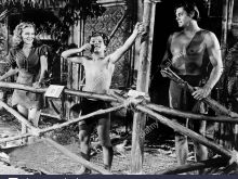 Johnny Sheffield