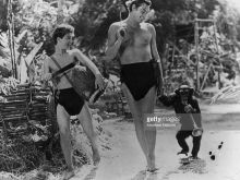 Johnny Sheffield photo