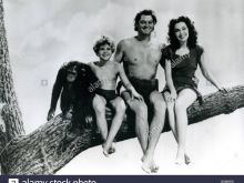 Johnny Sheffield photo