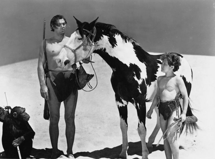 Johnny Sheffield