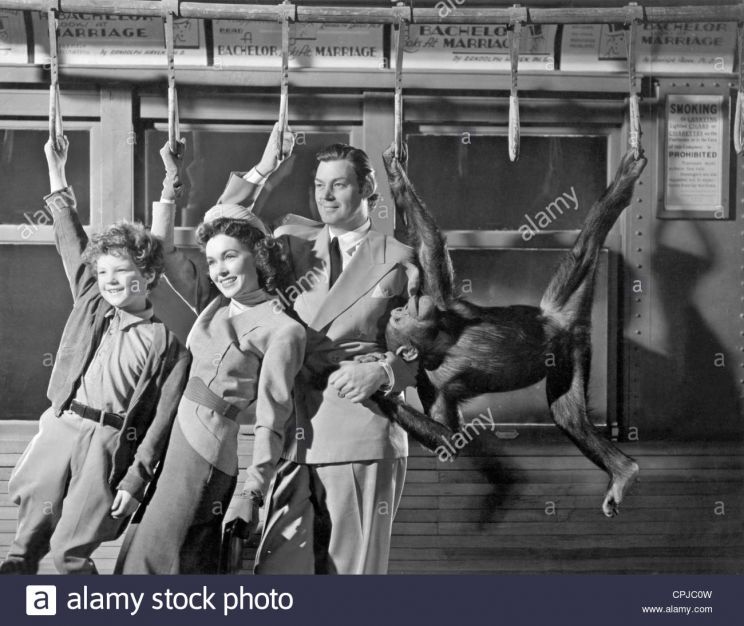Johnny Sheffield