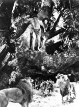 Johnny Weissmuller Jr.