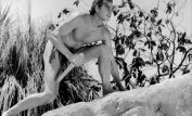 Johnny Weissmuller