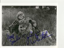 Johnny Whitaker