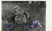 Johnny Whitaker