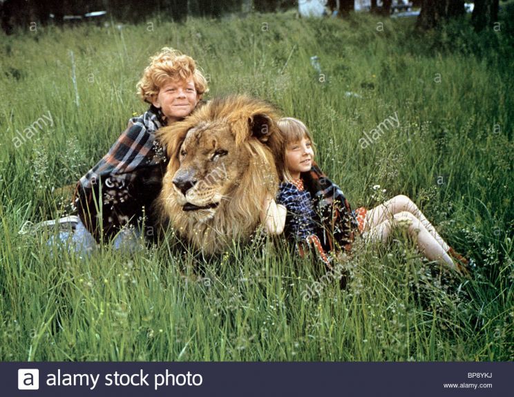 Johnny Whitaker